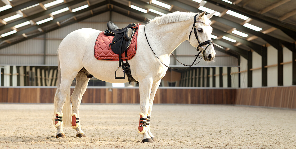 Farbenfroh Farbenfroh