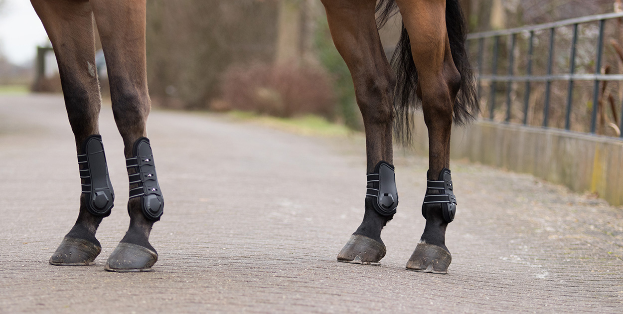 Tendon boots Champion