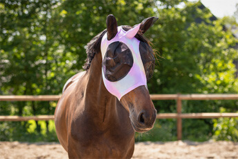 Fly protection