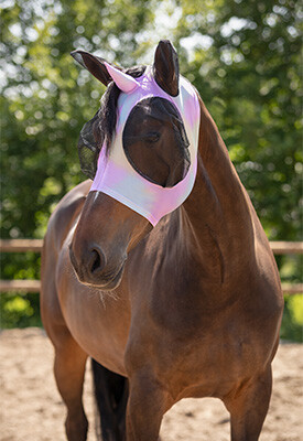 Fly protection