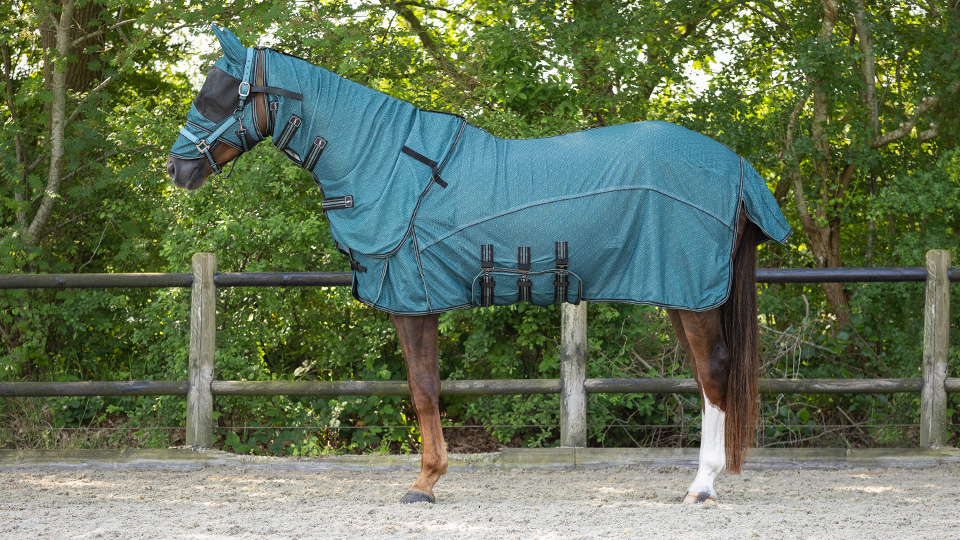 Fly Rugs & Eczema Rugs