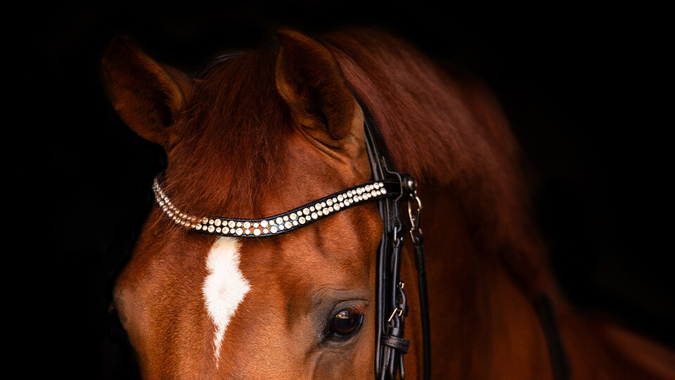Browbands