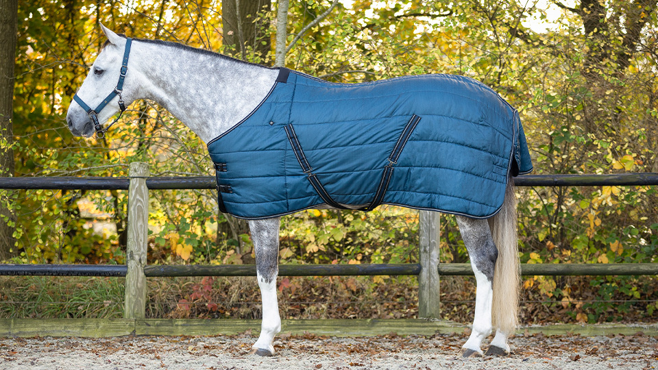 Stable Rugs Stable Rugs