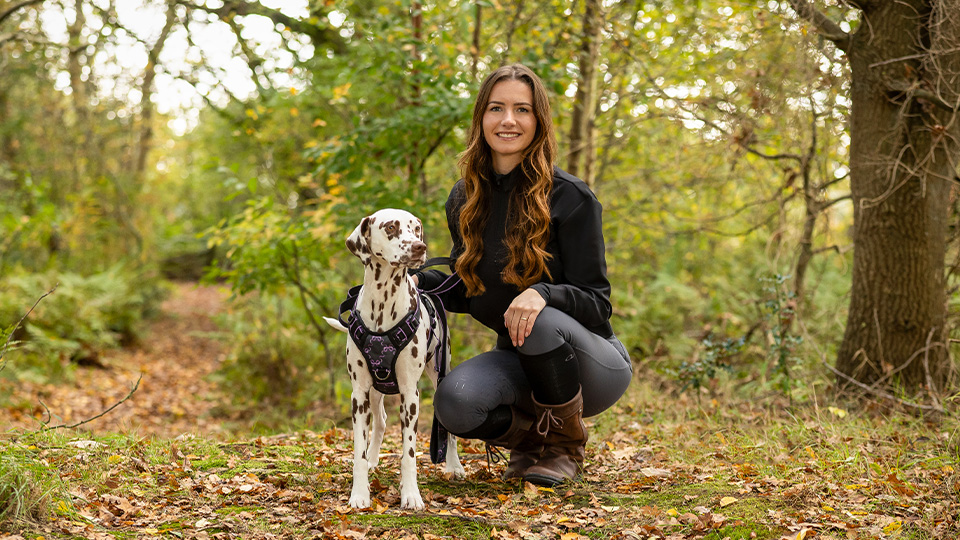 Wintercollectie hond 