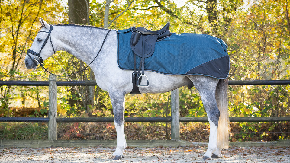 Exercise Rugs Exercise Rugs