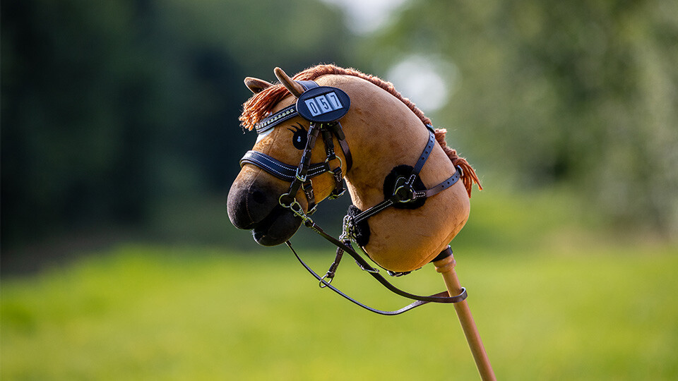 Hobby Horse