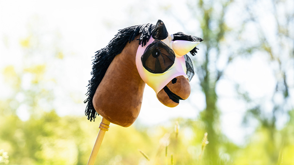 Hobby horse
