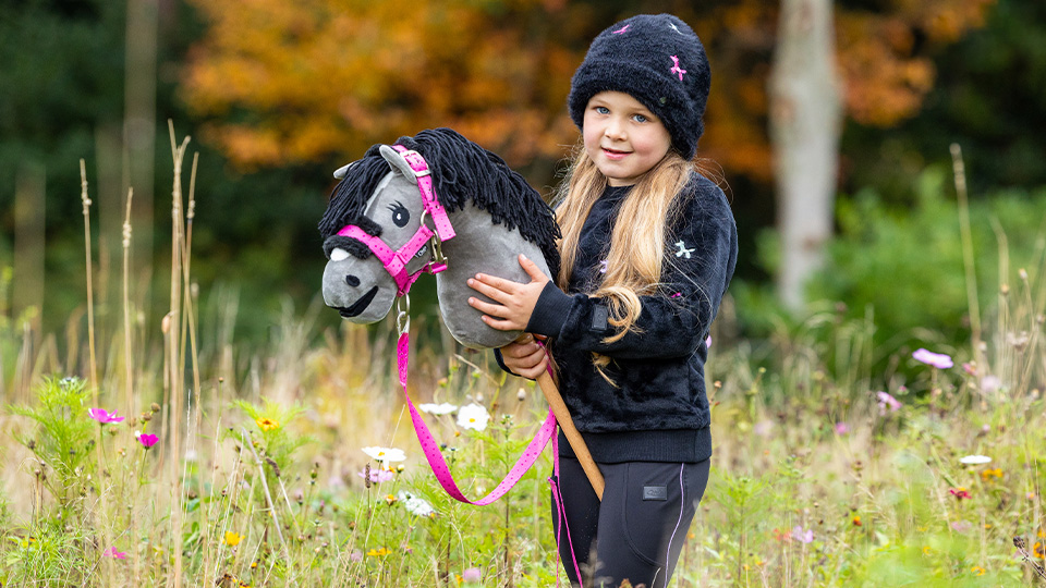 Hobby horse collection