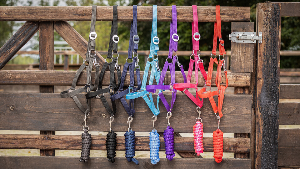 Halters & accessories
