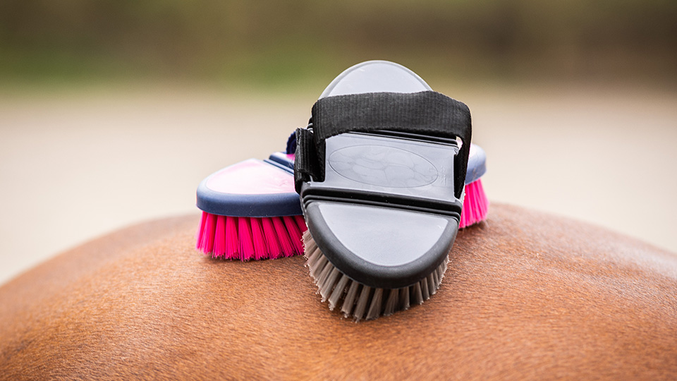 Brushes & grooming products