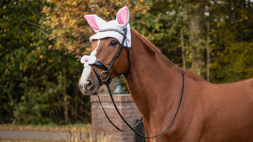 Easter