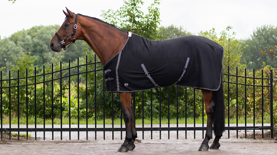 Fly protection & Accessories