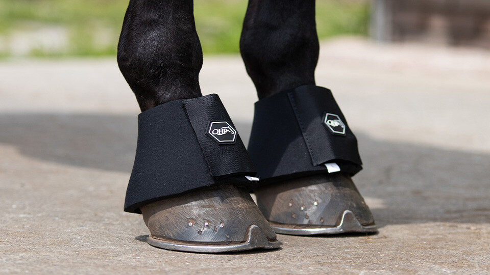 Leg protection & Accessories