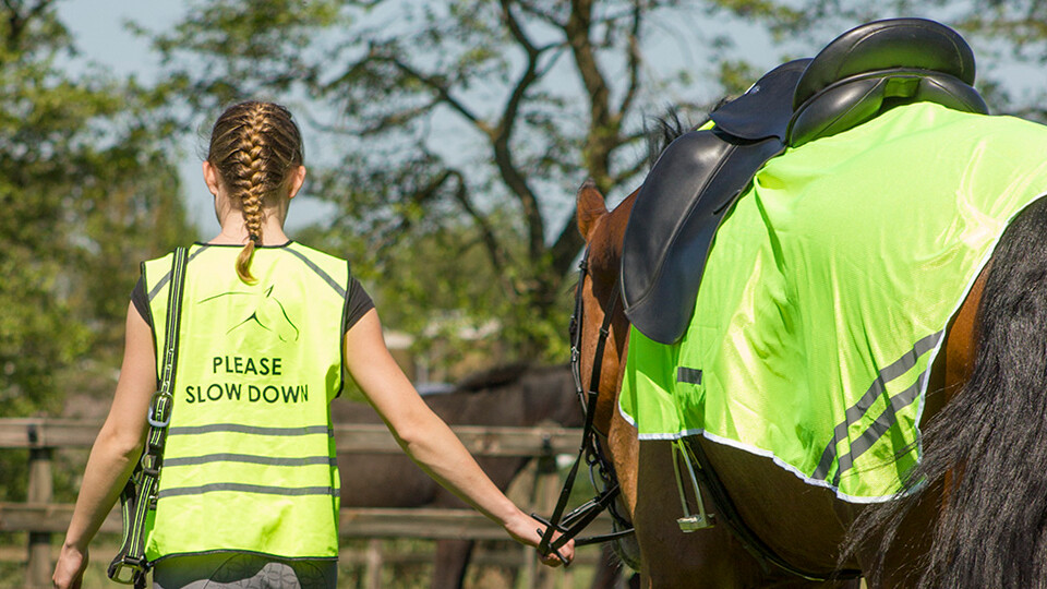 Reflection Reflection