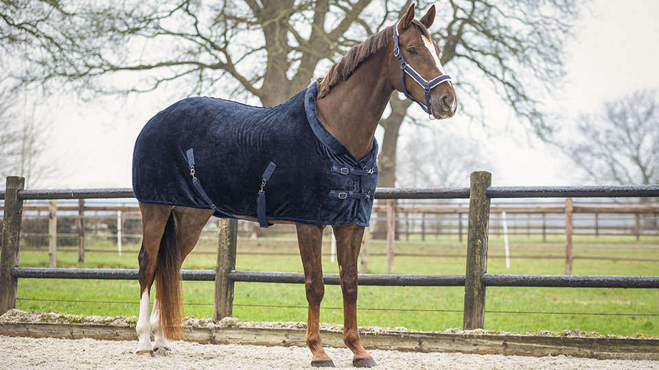 Basic articles winter