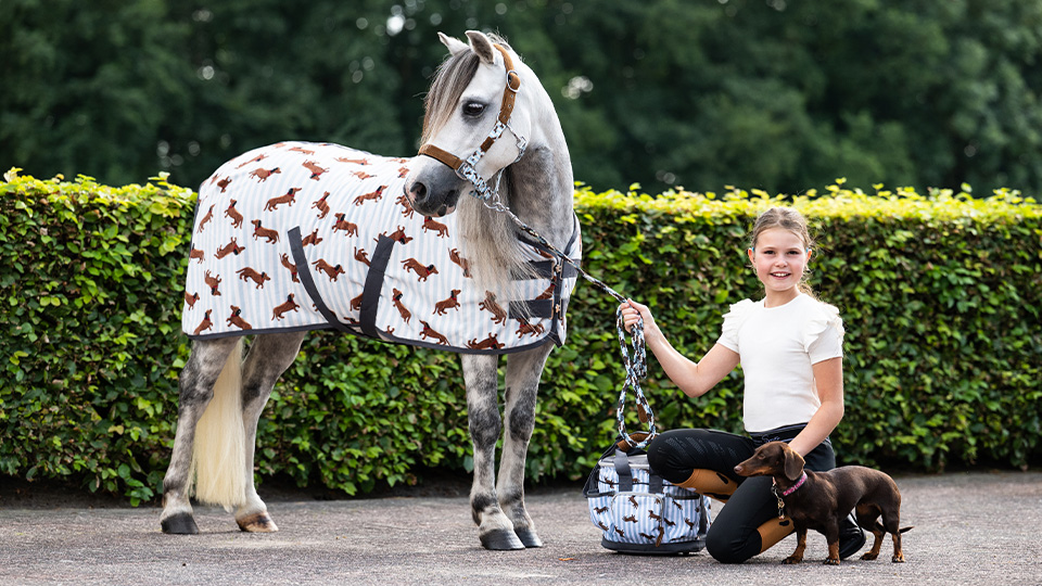 Stable buddy 
