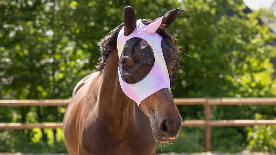 Fly protection Fly protection