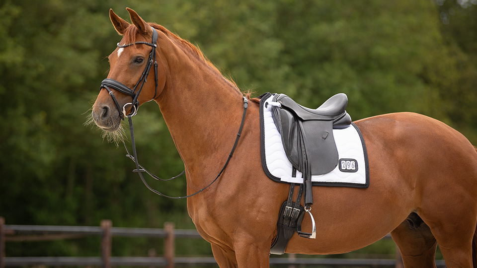 Saddle pads 