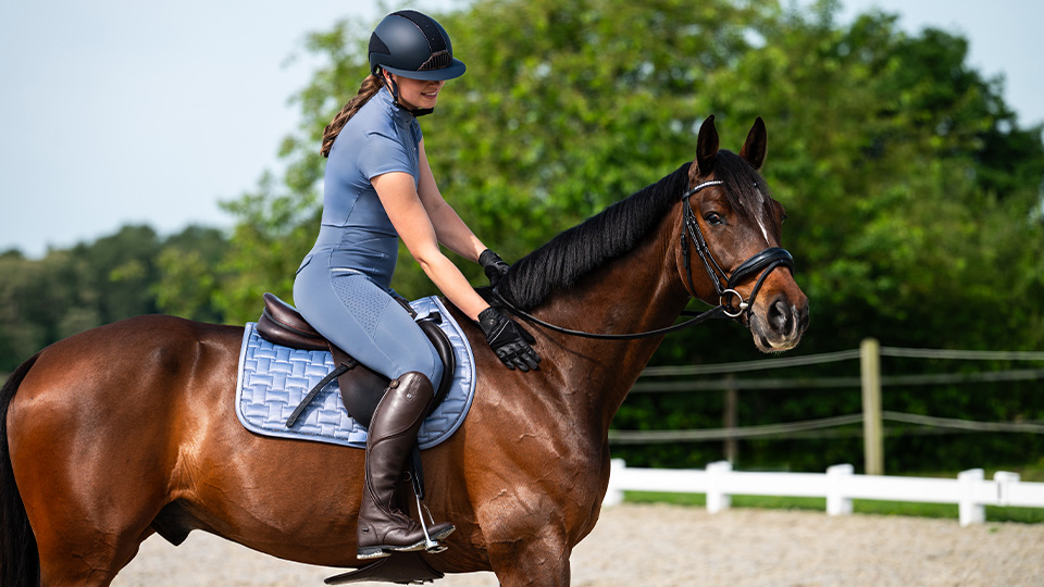 Saddles & Accessories Saddles & Accessories