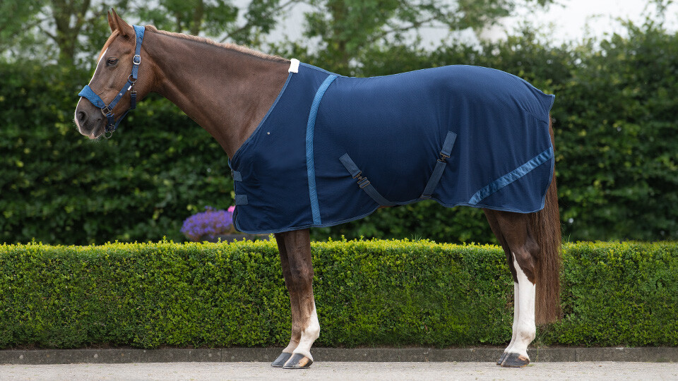 Summer Rugs Summer Rugs