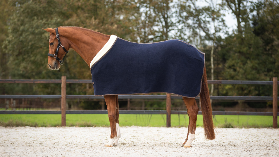 Basic articles - Horse 