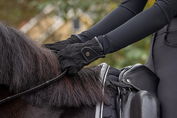 Riding Gloves