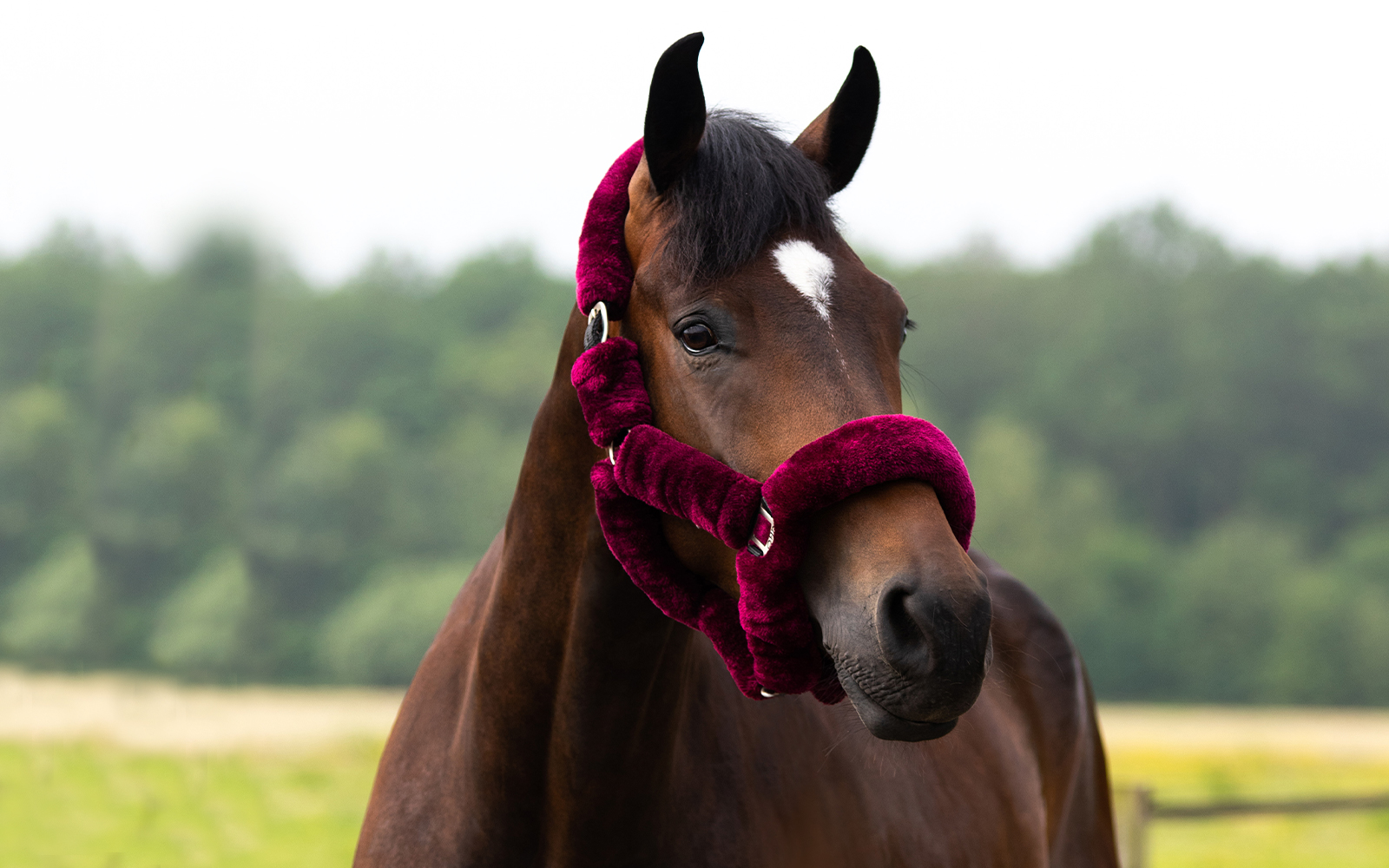 Head collars with vegan fur Head collars with vegan fur