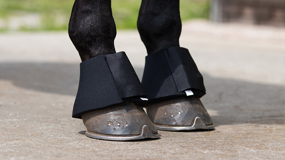 Leg protection & Accessories
