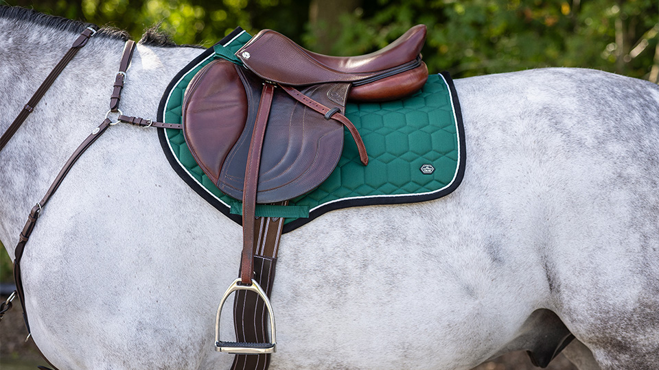 Stirrup & Accessories