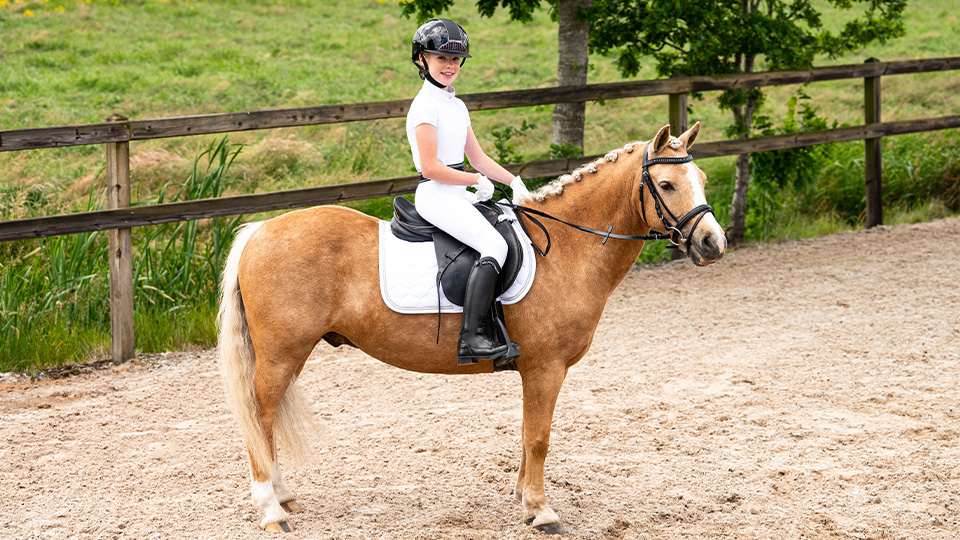 Breeches 