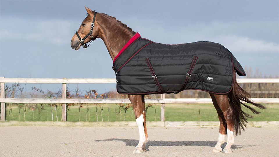 Stable Rugs Stable Rugs