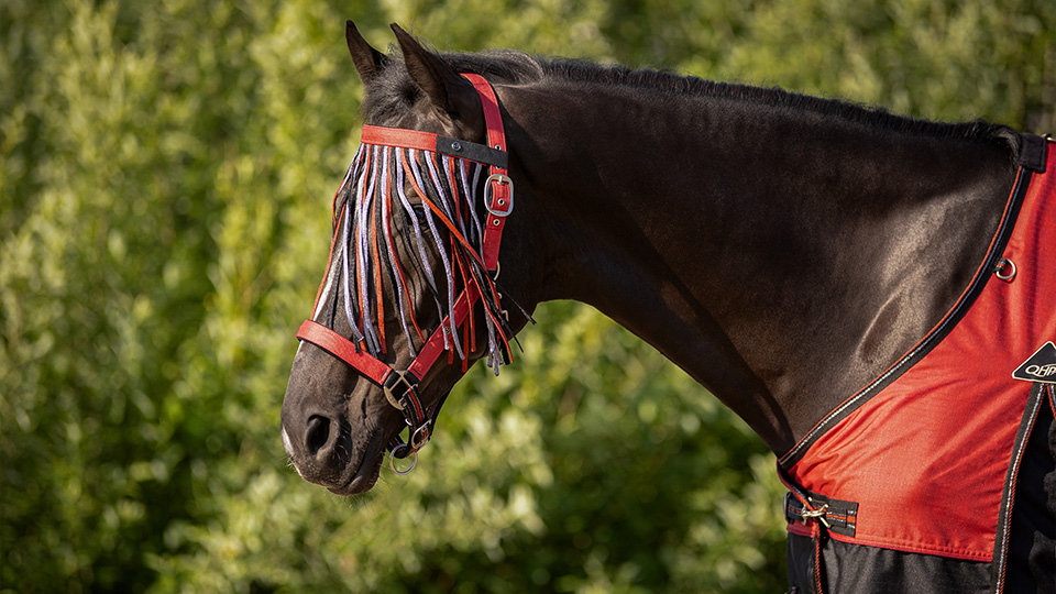 Fly protection Fly protection