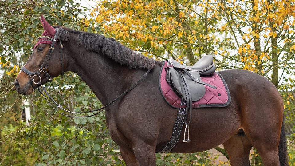 Saddle pads 