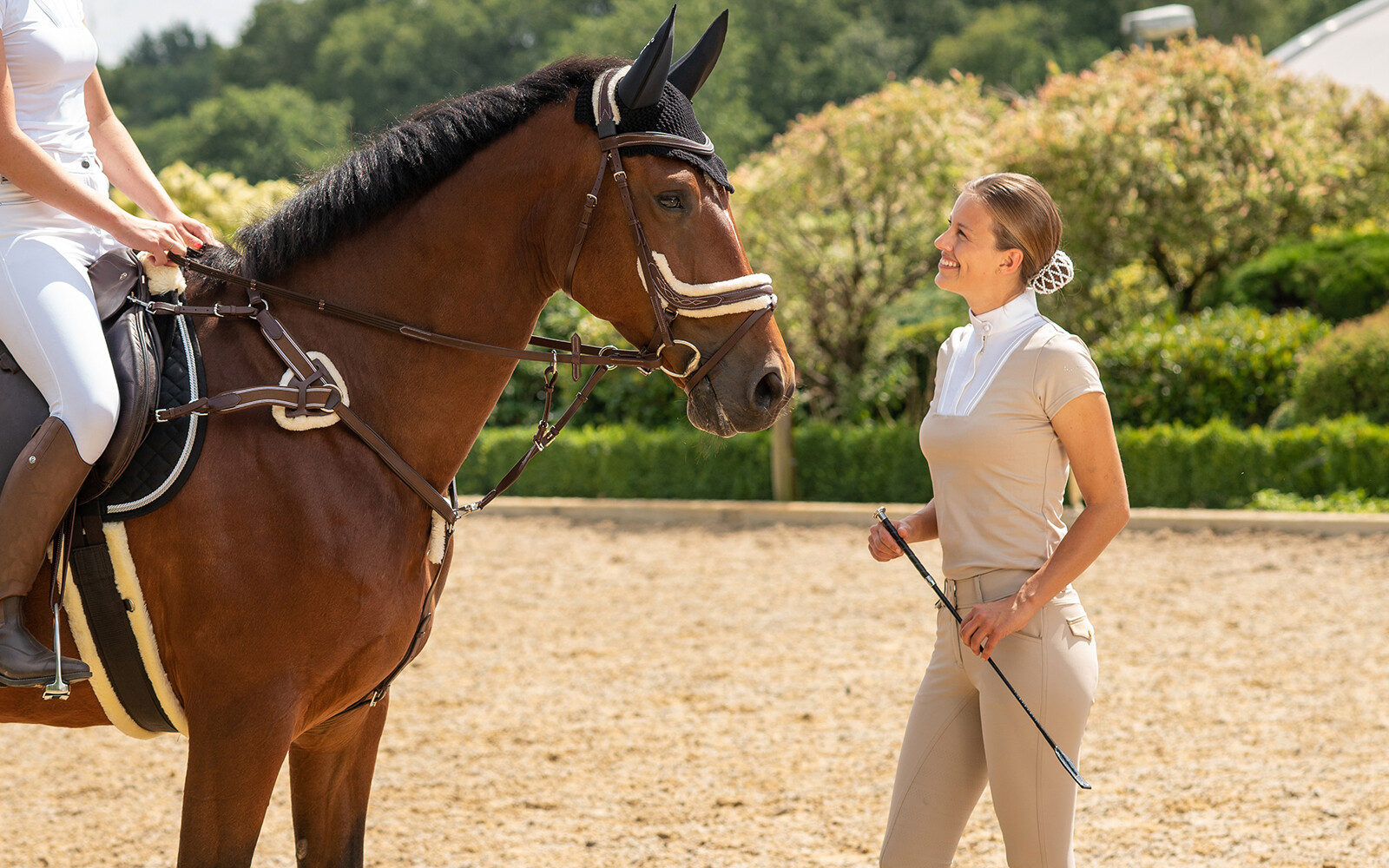 Dressage Whips Dressage Whips