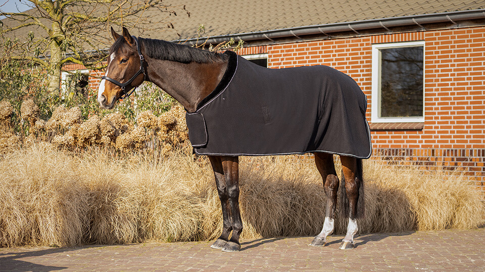 Wool & Fleece Rugs