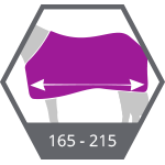 64. Rug 165-215