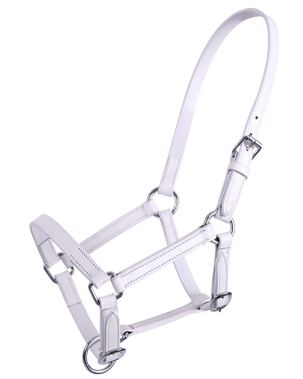 Foal head collar leather Chico