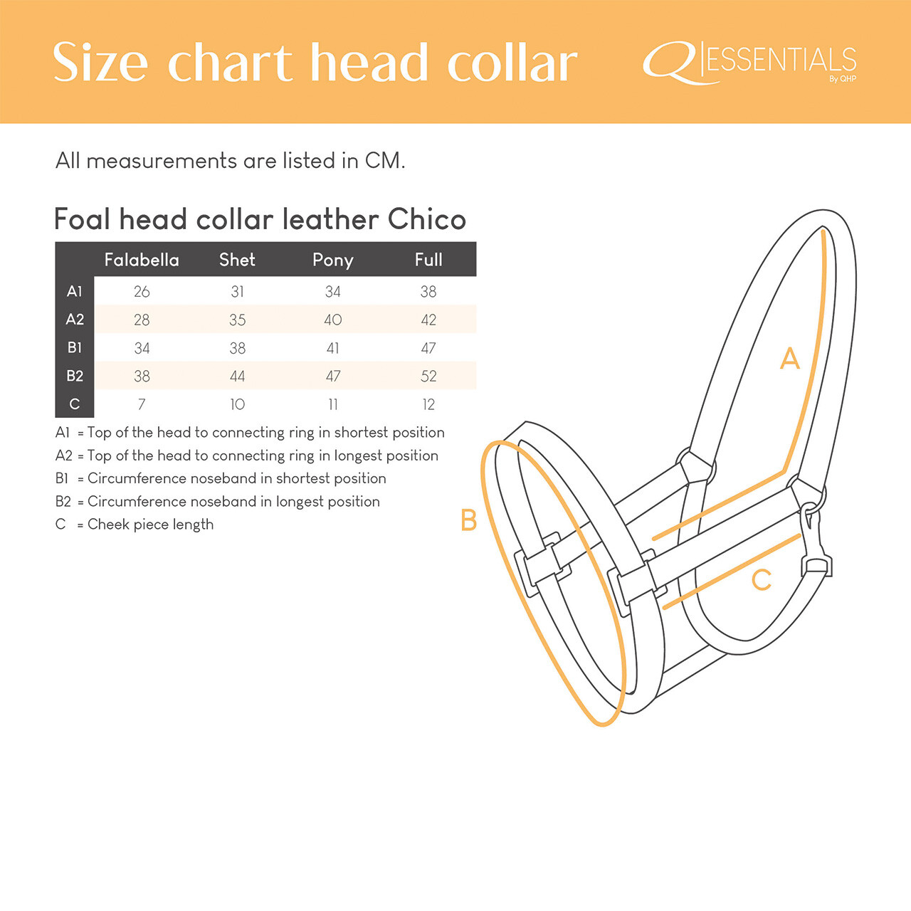 Foal head collar leather Chico