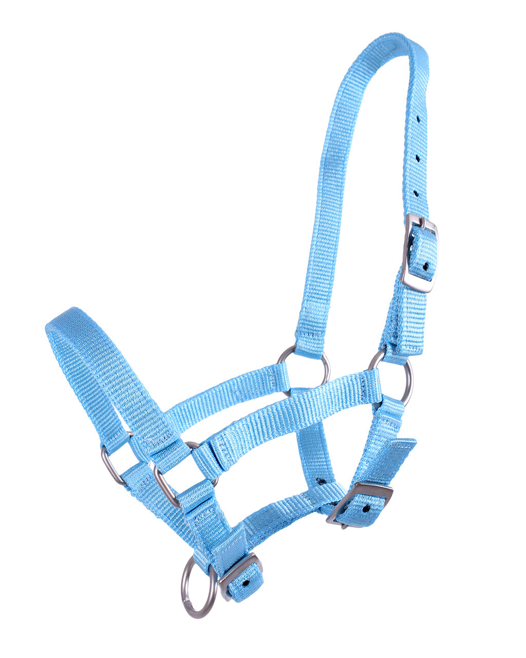 Head collar foal