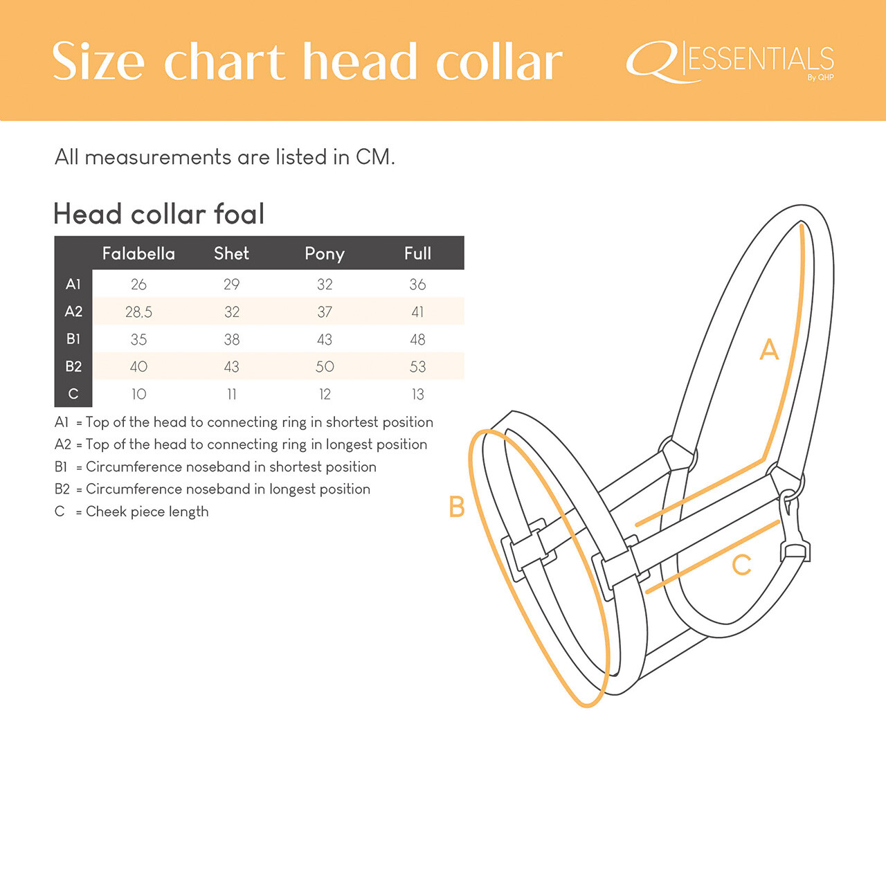 Head collar foal
