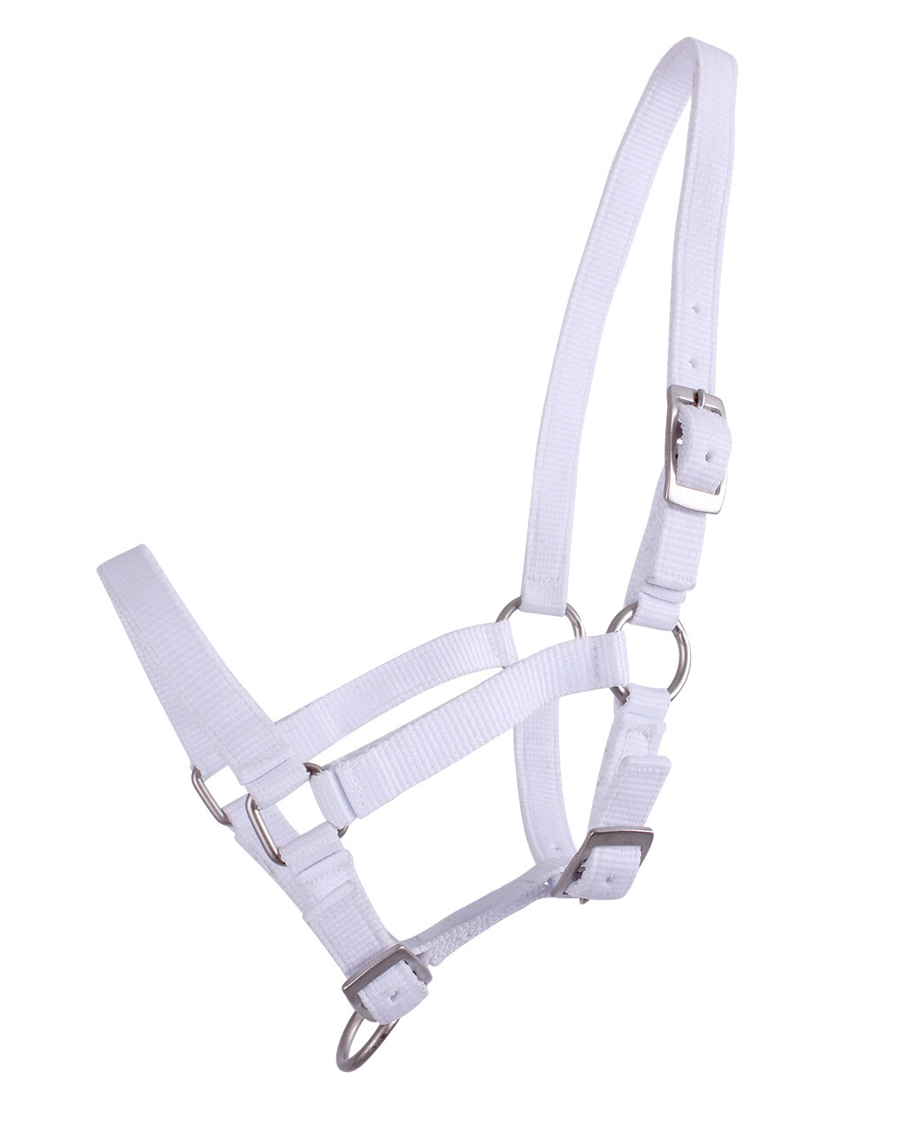 Head collar foal