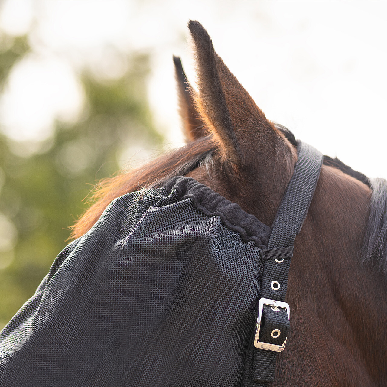 Halter-fly mask combi