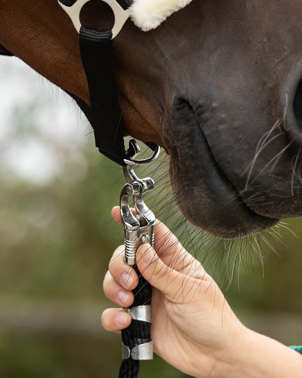 Lead rope with panic clip