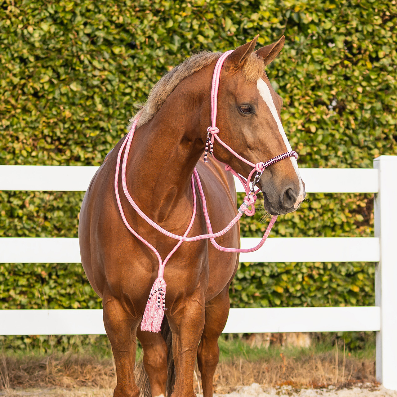 Rope halter combi Liberty