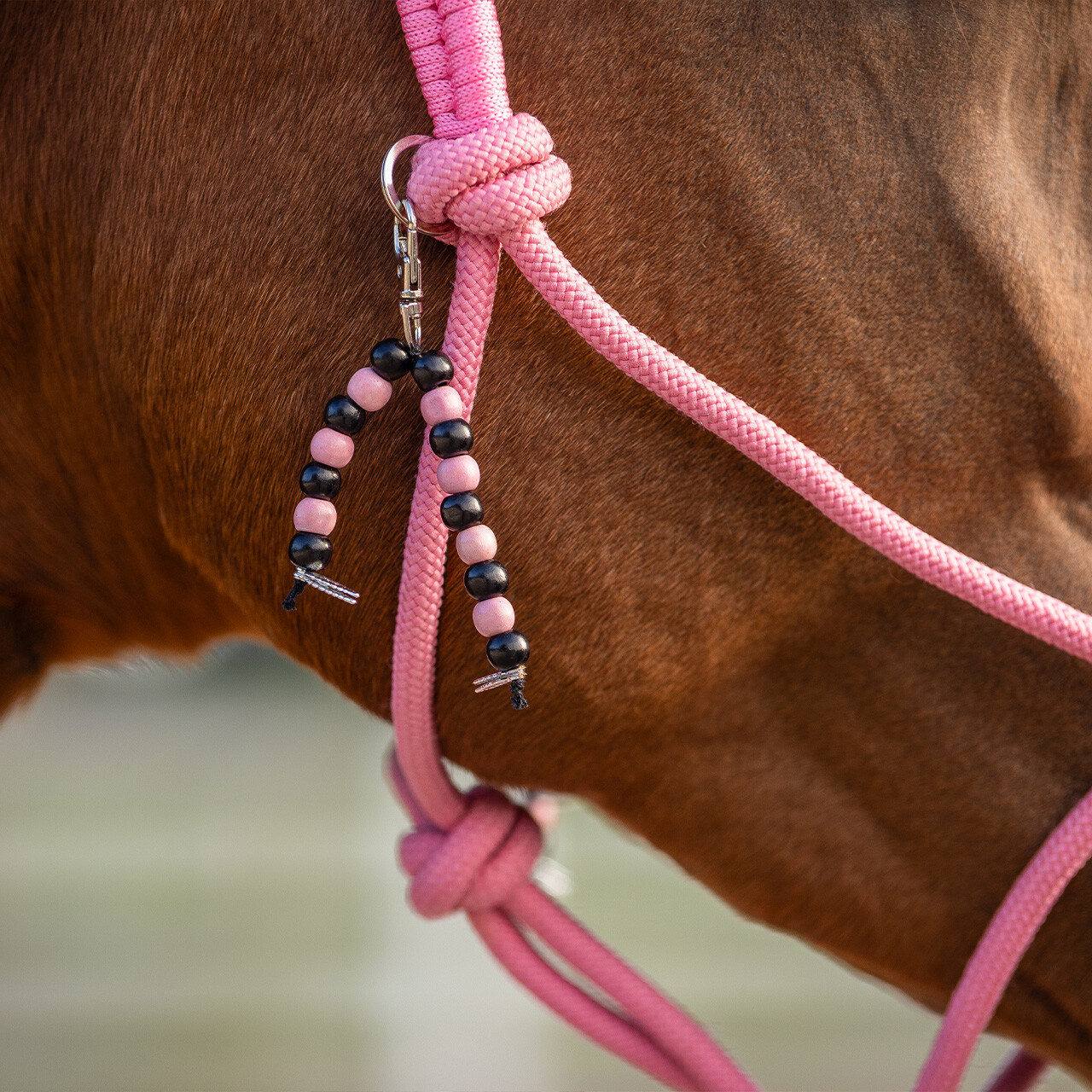 Rope halter combi Liberty