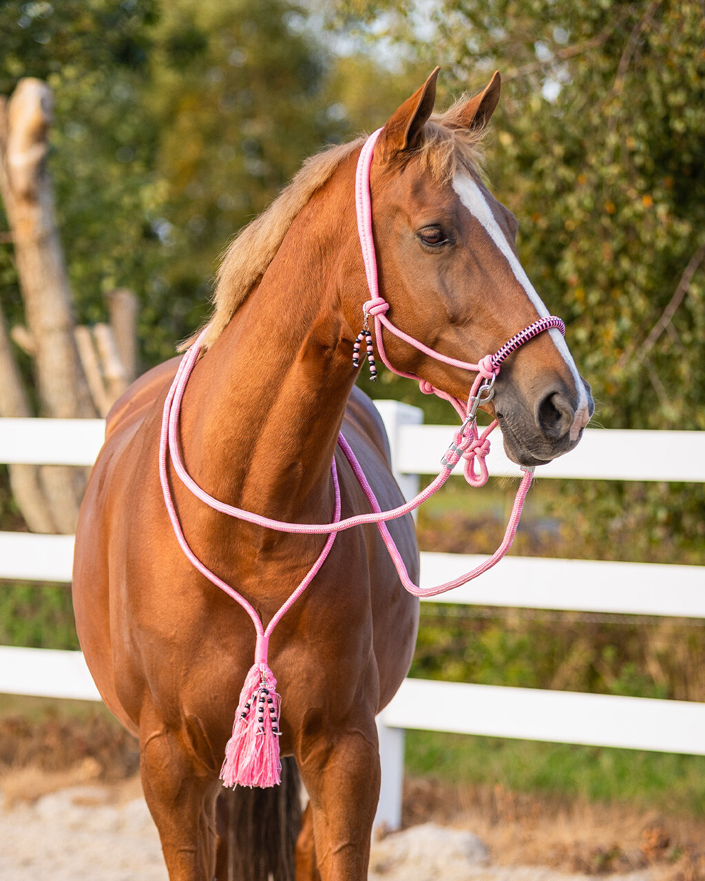 Rope halter combi Liberty