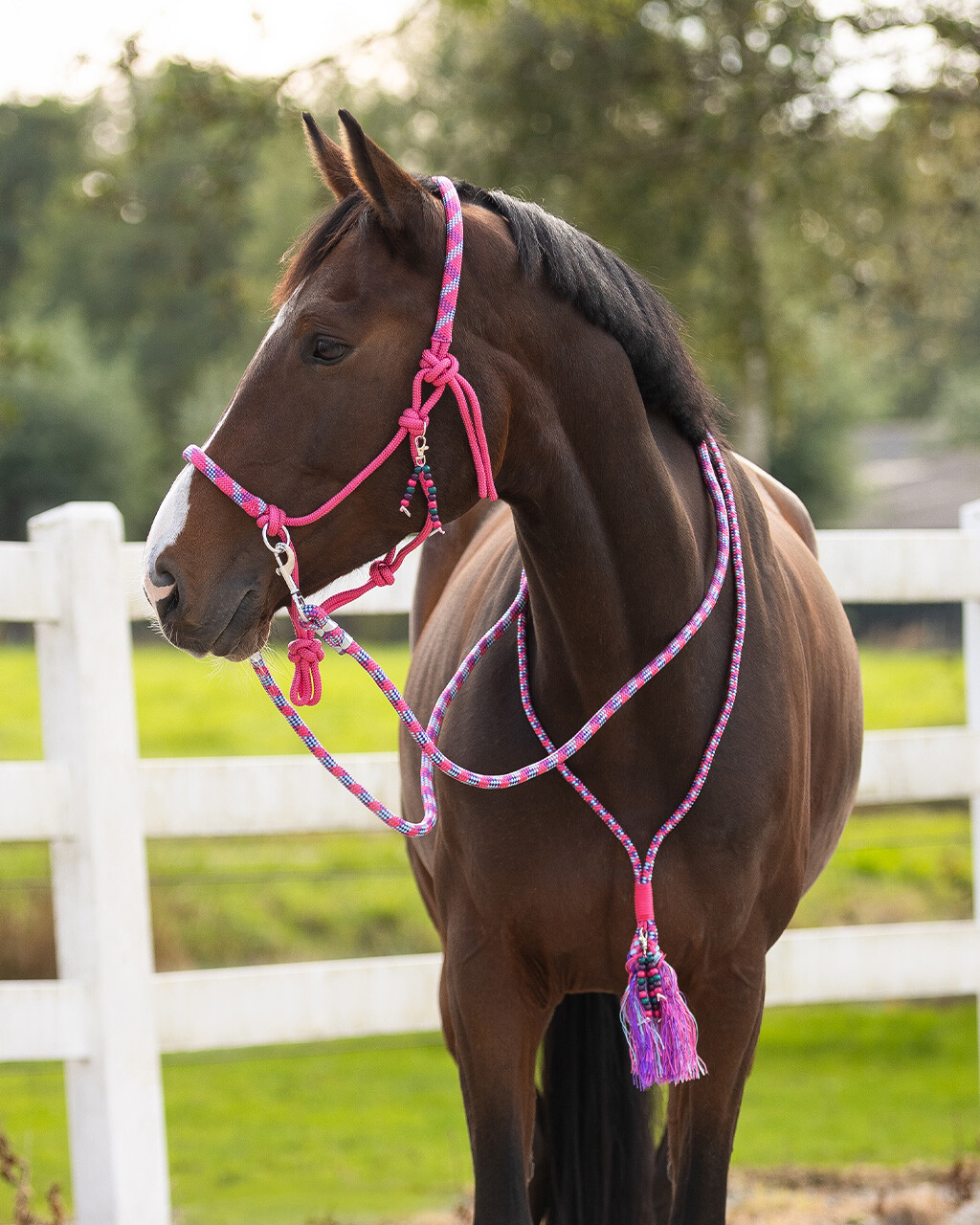 Rope halter combi Liberty