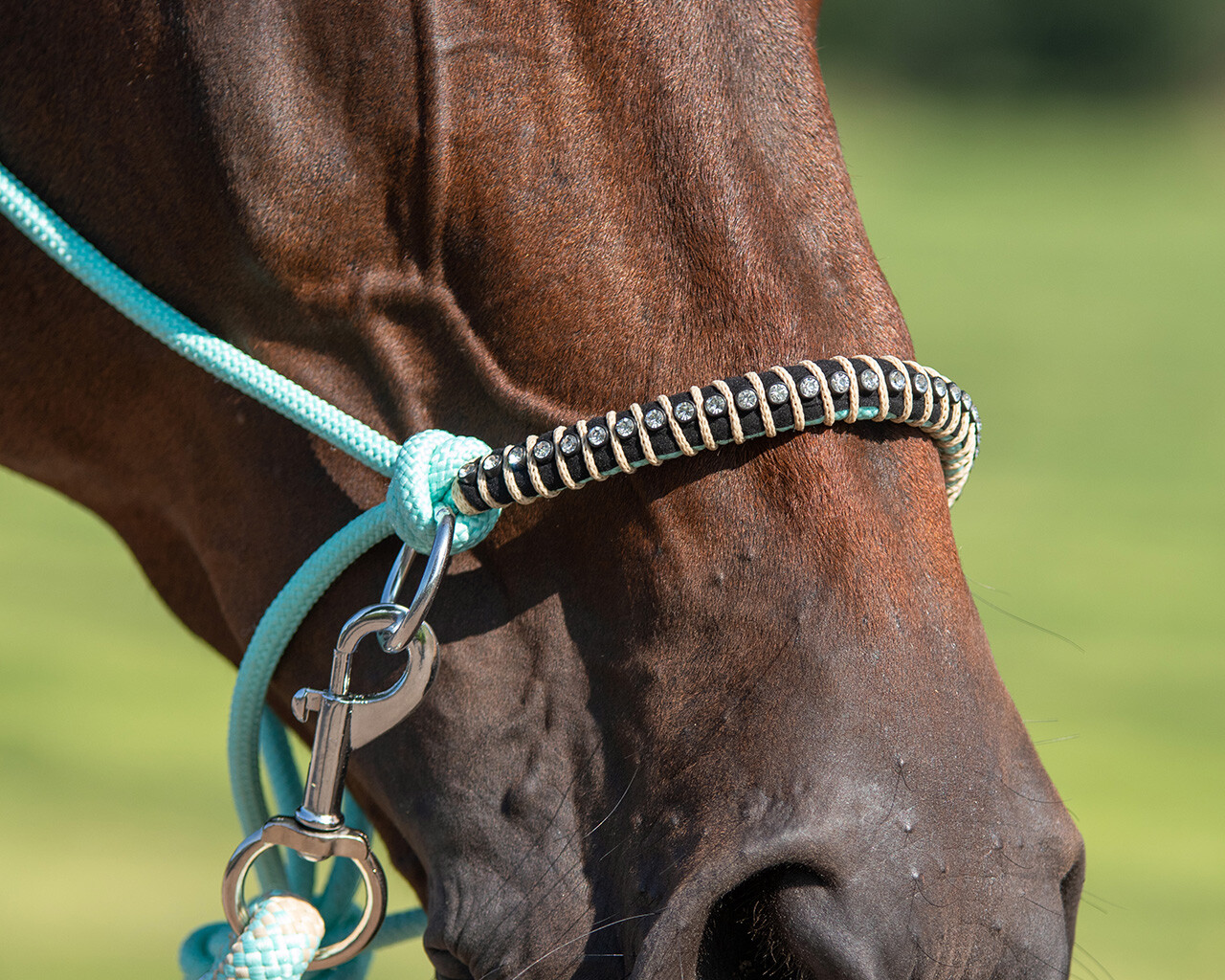 Horse Rope Halter Liberty Natural Horsemanship Pony/Cob   Adjustable ONE SIZE 