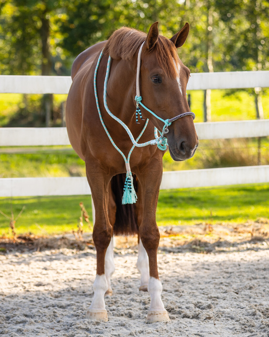 Rope halter combi Liberty
