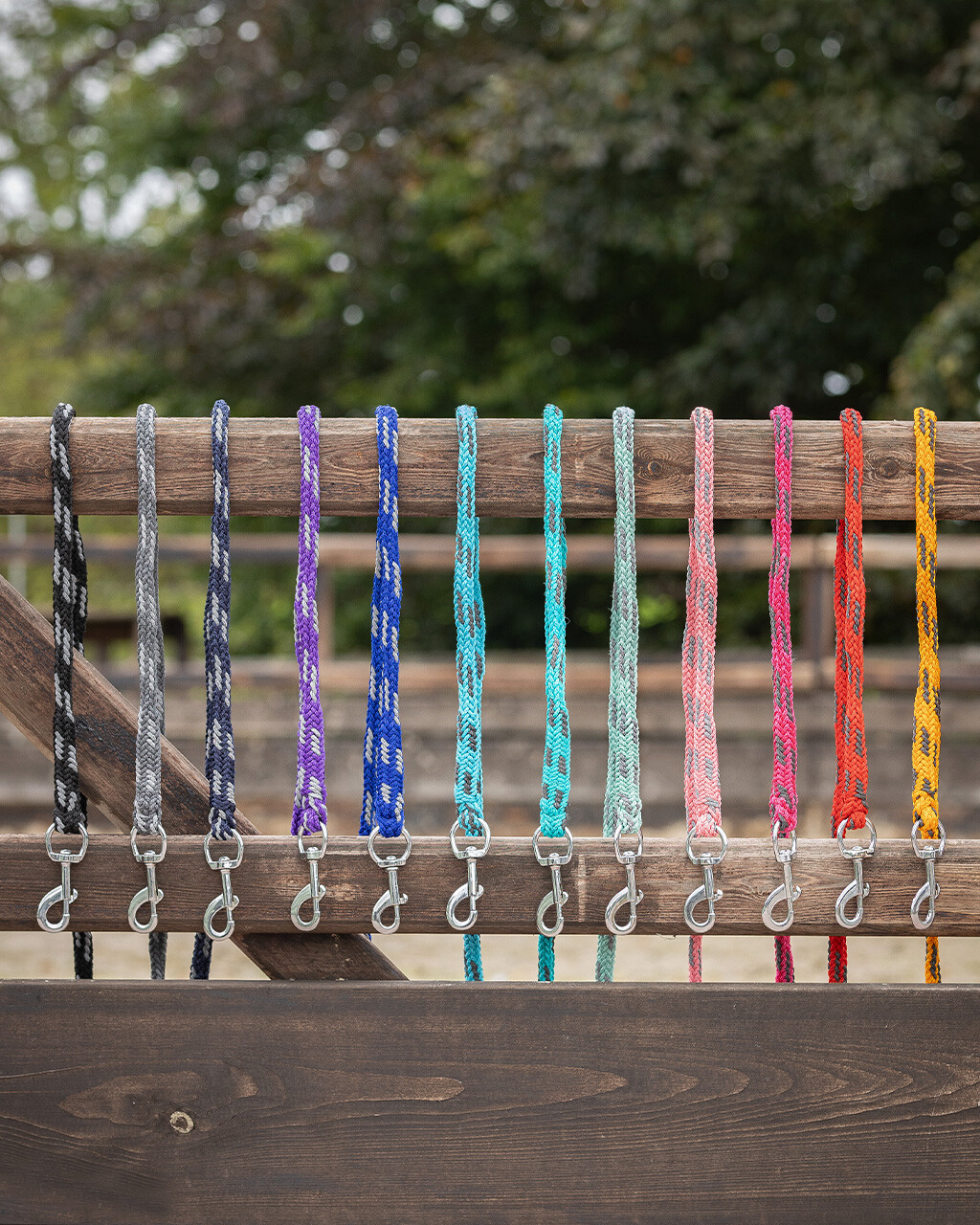 Lead rope Color